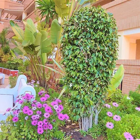 Apartment Acv - Costa Caribe Ii - 2 Linea Planta Baja Sur *