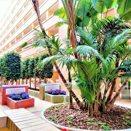 Acv - Costa Caribe Ii - 2 Linea Planta Baja Sur *